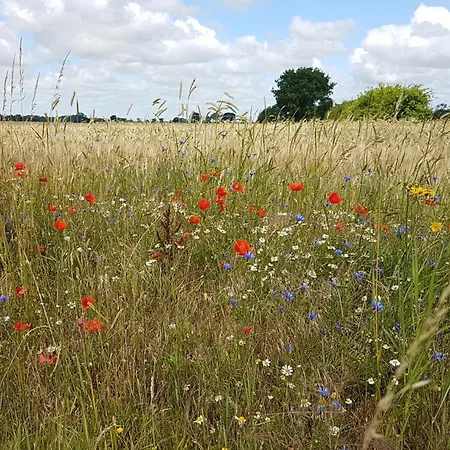 Hotel Gut Gnewikow *