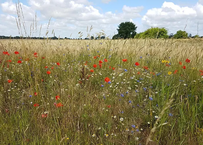 Hotel Gut Gnewikow *
